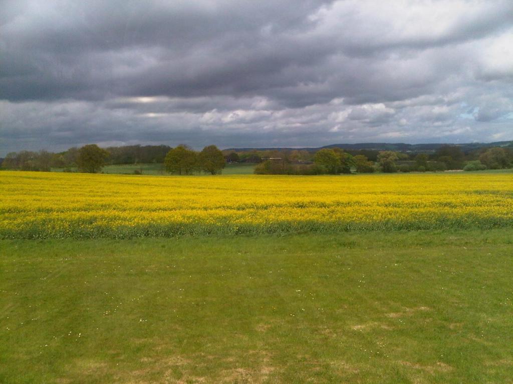 Plumpton House Hotel Ashford  Luaran gambar